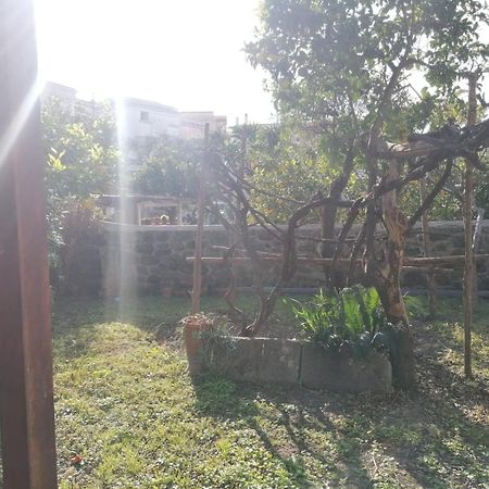 Dimora Coloniale B&B Forio  Exterior photo